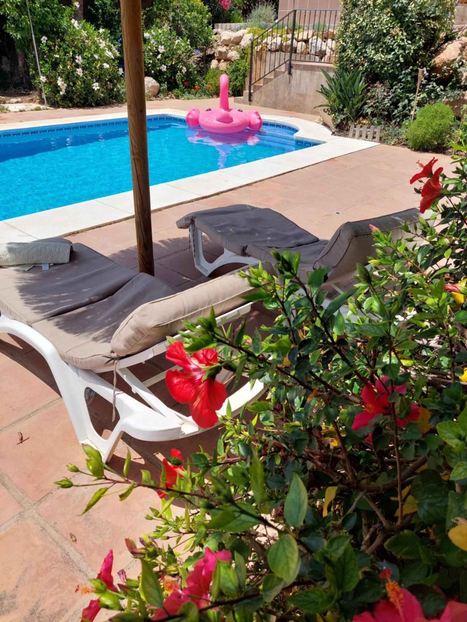 Casa Sunflower Villaer